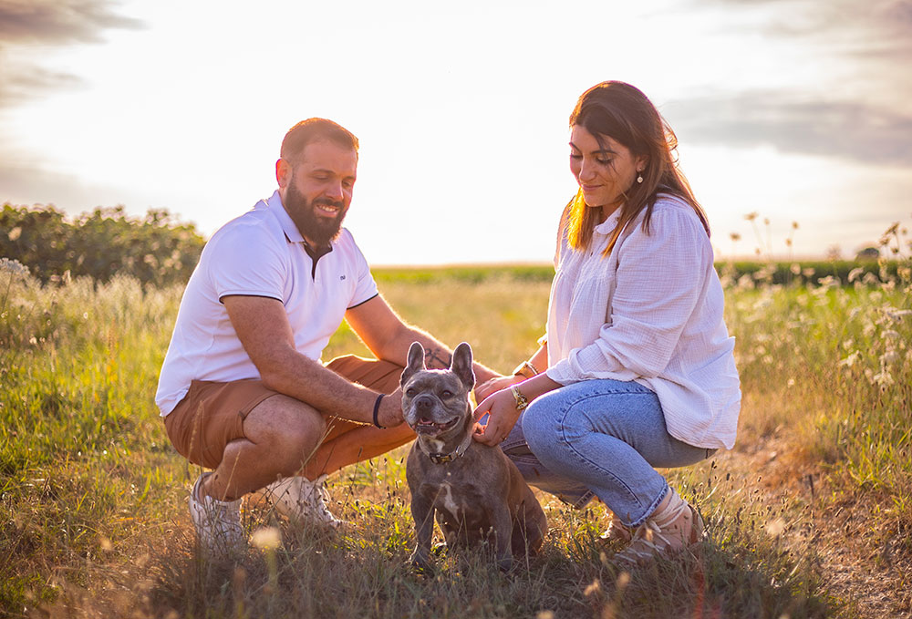 portrait de chien boxer dans champ de fleurs avec homme et femme qui le caline lisa mazeau photographe professionnelle gironde