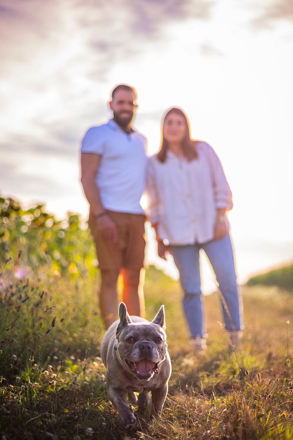 chien boxer en premier plan et maitre derrière lisa mazeau photographe professionnelle gironde